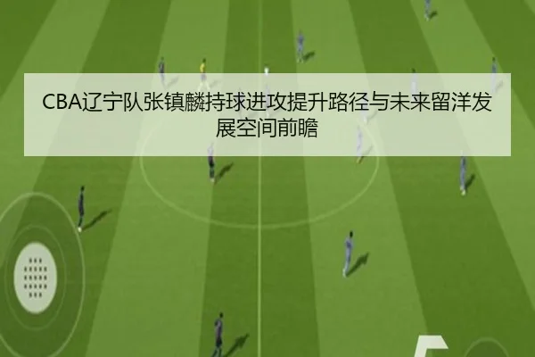 CBA辽宁队张镇麟持球进攻提升路径与未来留洋发展空间前瞻